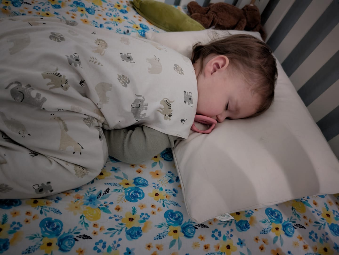 Customer photo review of Wool Pillow, Toddler and Kids, Size: 14"x19"