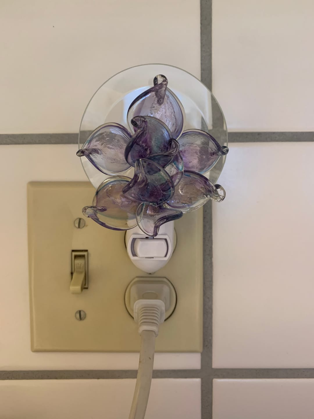 Customer photo review of Memorial Nightlight Flower with Cremation Ash