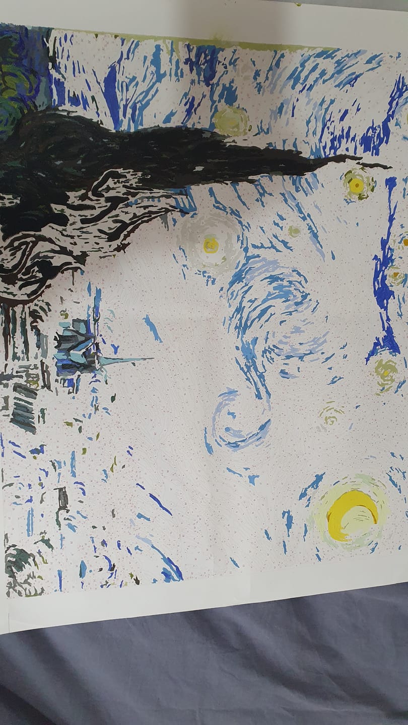Customer photo review of Starry Night Paint by Numbers