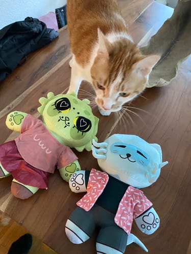 Customer photo review of Turn Kid's Drawings into Plushies