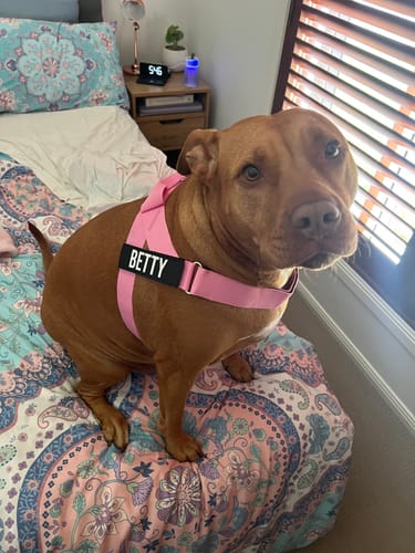 Customer photo review of Custom Name Patches