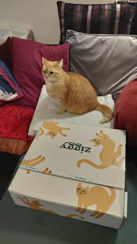 Avis photo d'un client sur Pâtée Chat Stérilisé Sans Céréales - Poulet