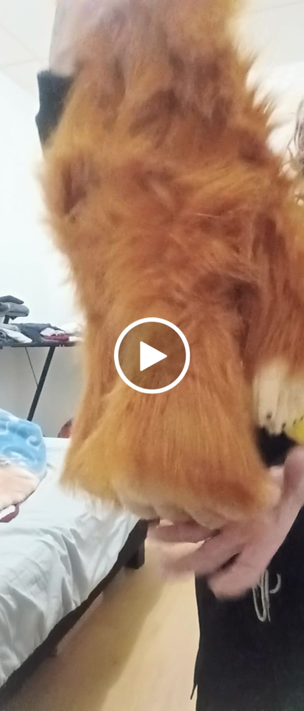 Customer video review of Orang-outan Marionnette