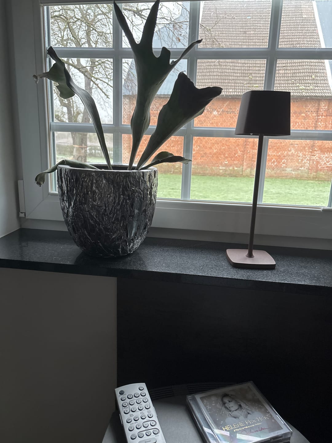 Customer photo review of Tap-light® - Elo Moderne Tischlampe | Kabellose LED Tischleuchte