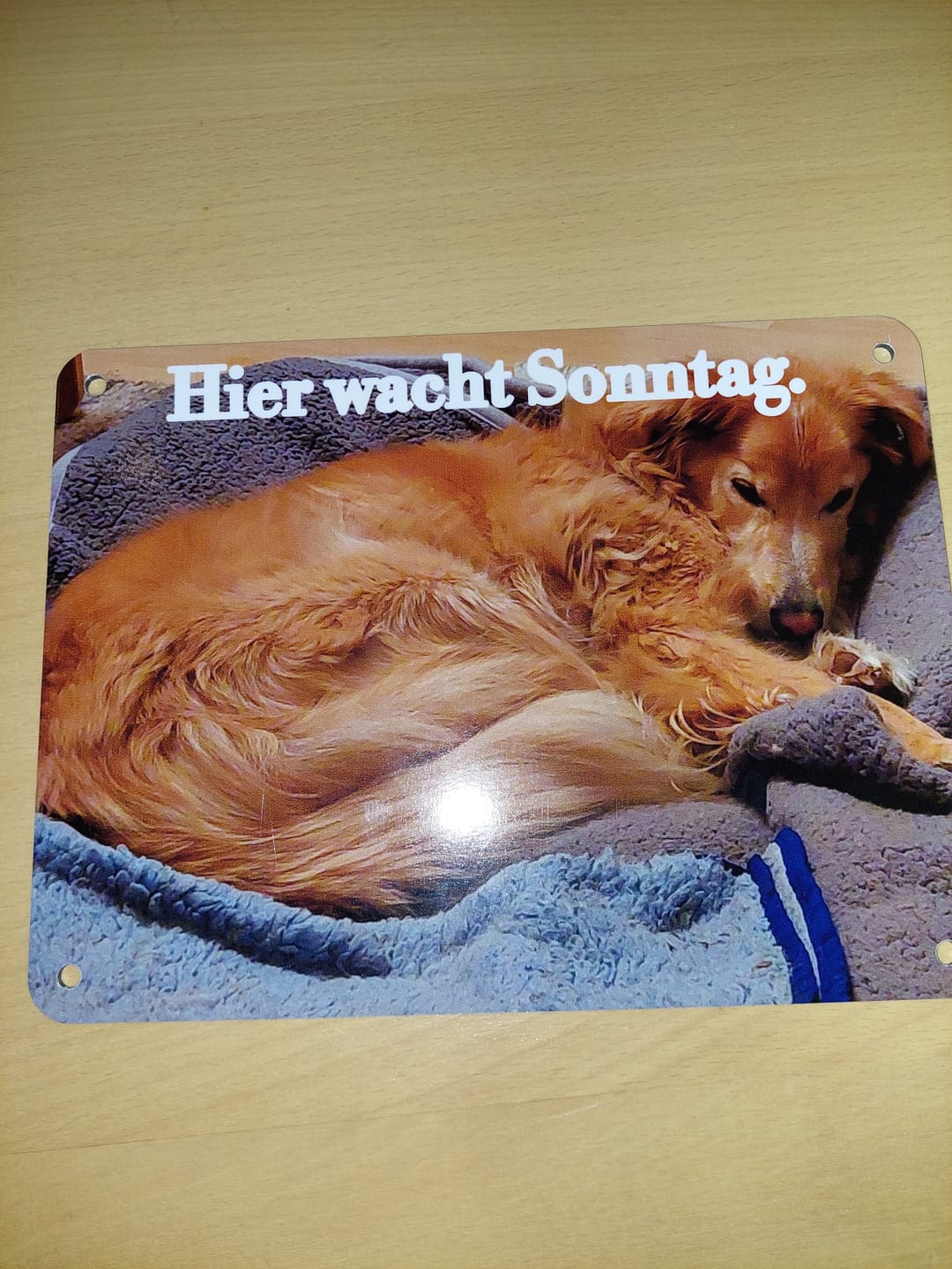 Customer photo review of Hunde-Türschild personalisiert mit Foto & Text (UV- und wetterfest)