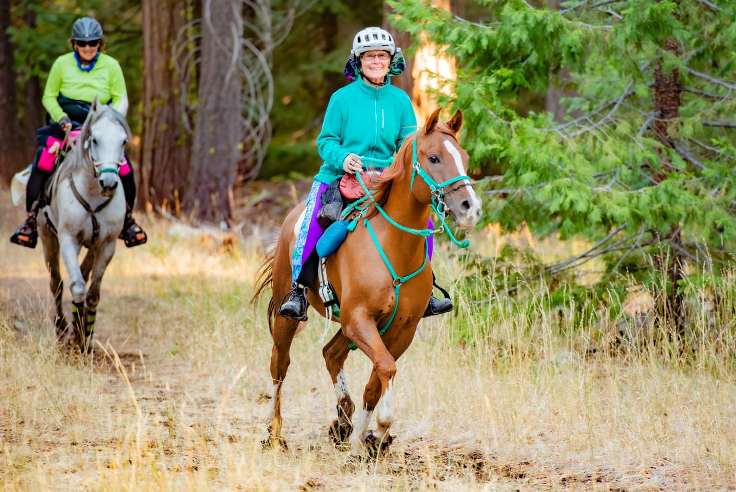 Customer photo review of Renegade® Viper Glow™ Hoof Boots - Caribbean Dream