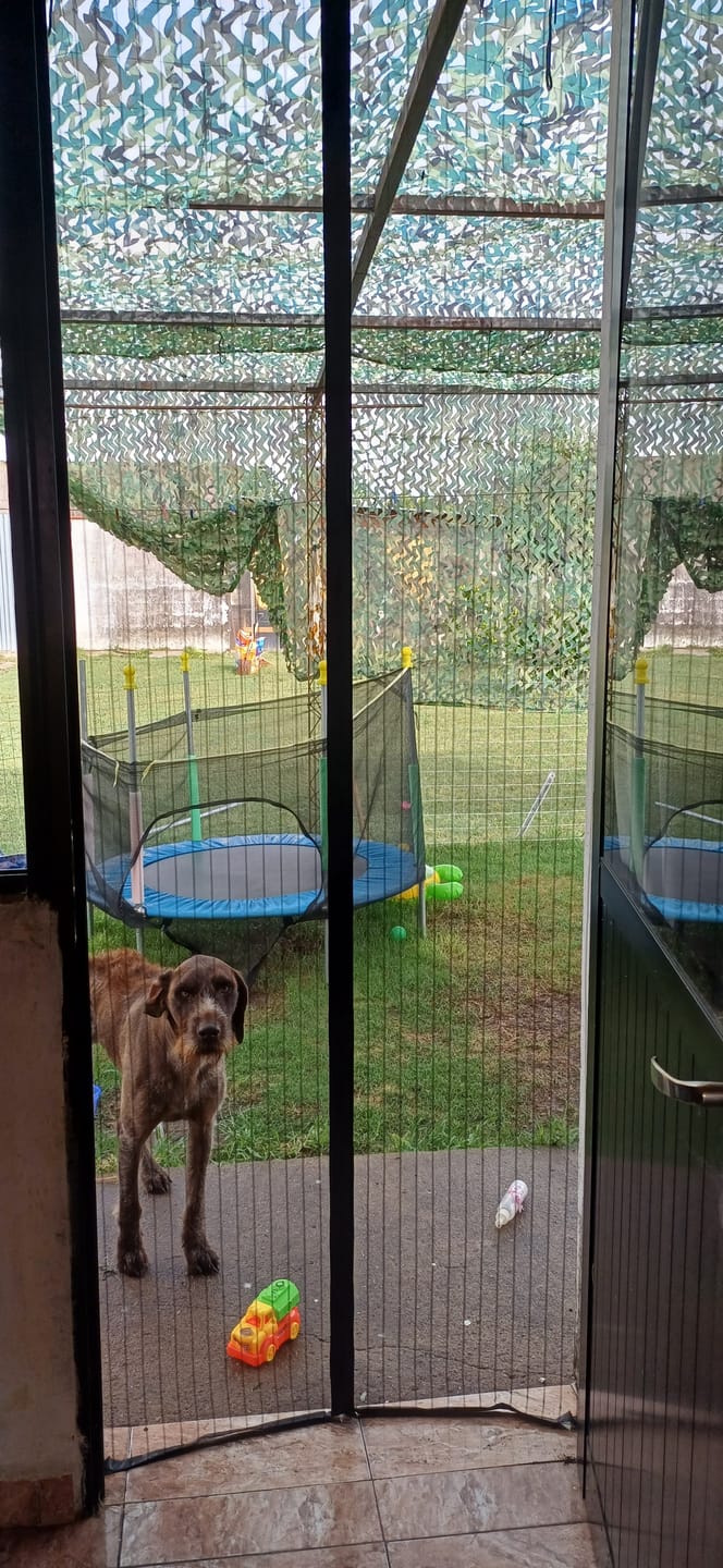 Customer photo review of Cortina Mosquitero Netqueen Magnético Milhome