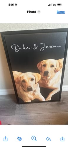 Customer photo review of Pet Art Canvas Wrap