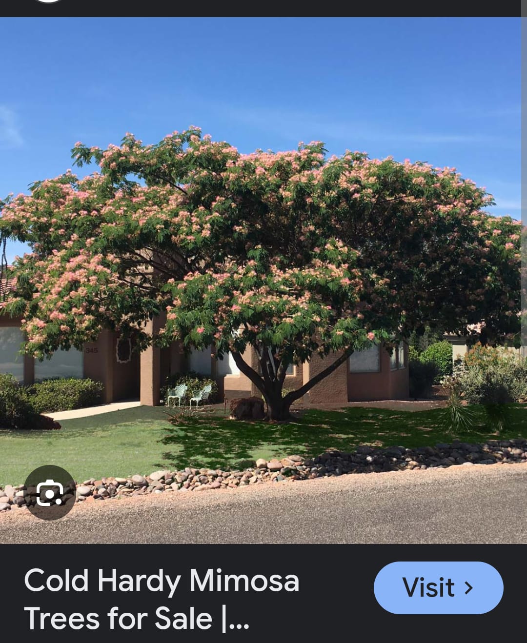 Customer photo review of Tepezcohuite Bark