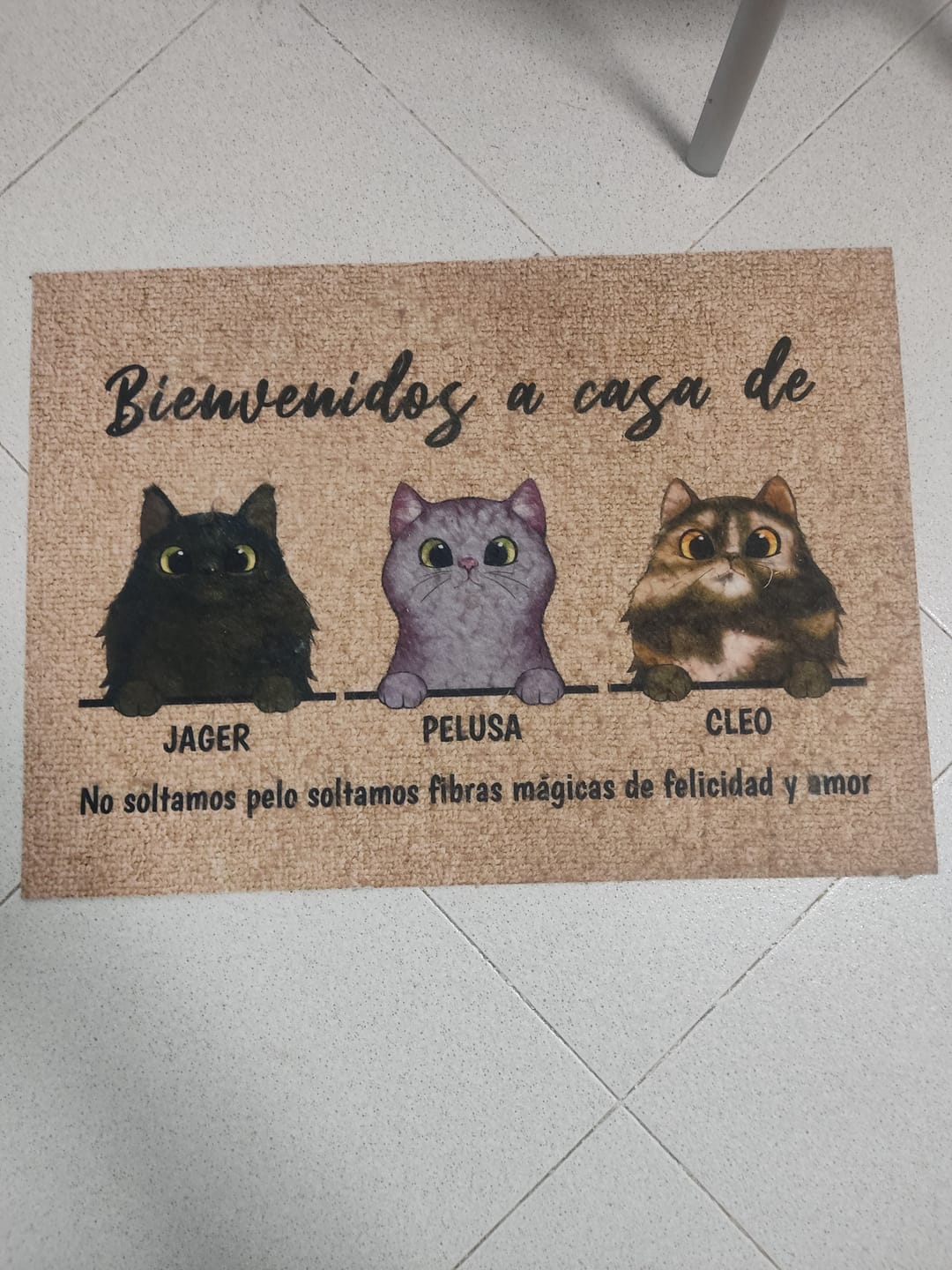 Customer photo review of Bienvenidos a lo de gatos curiosos - Felpudo personalizado