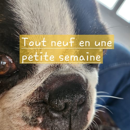 Customer photo review of Baume naturel Truffe pour chiens