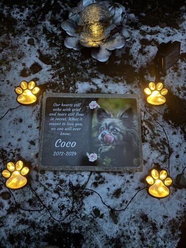 Customer photo review of Hunde Gedenktafel mit Foto & Spruch (UV- & Wetterfest)