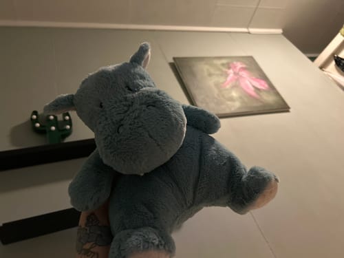Customer photo review of Gund Oh So Snuggly 31 cm - Hippo