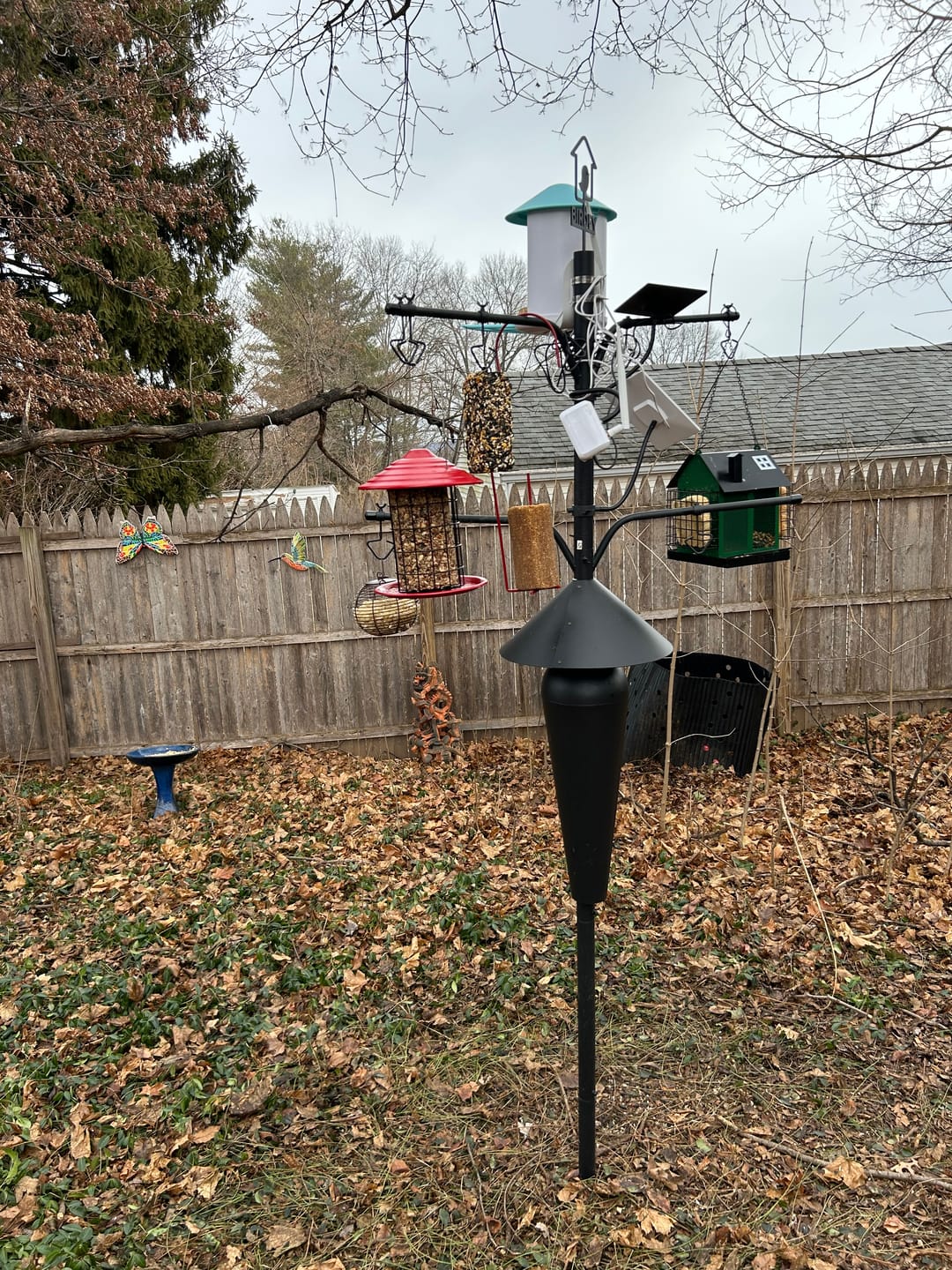 Customer photo review of Birdfy Pole - Bird Feeder Pole