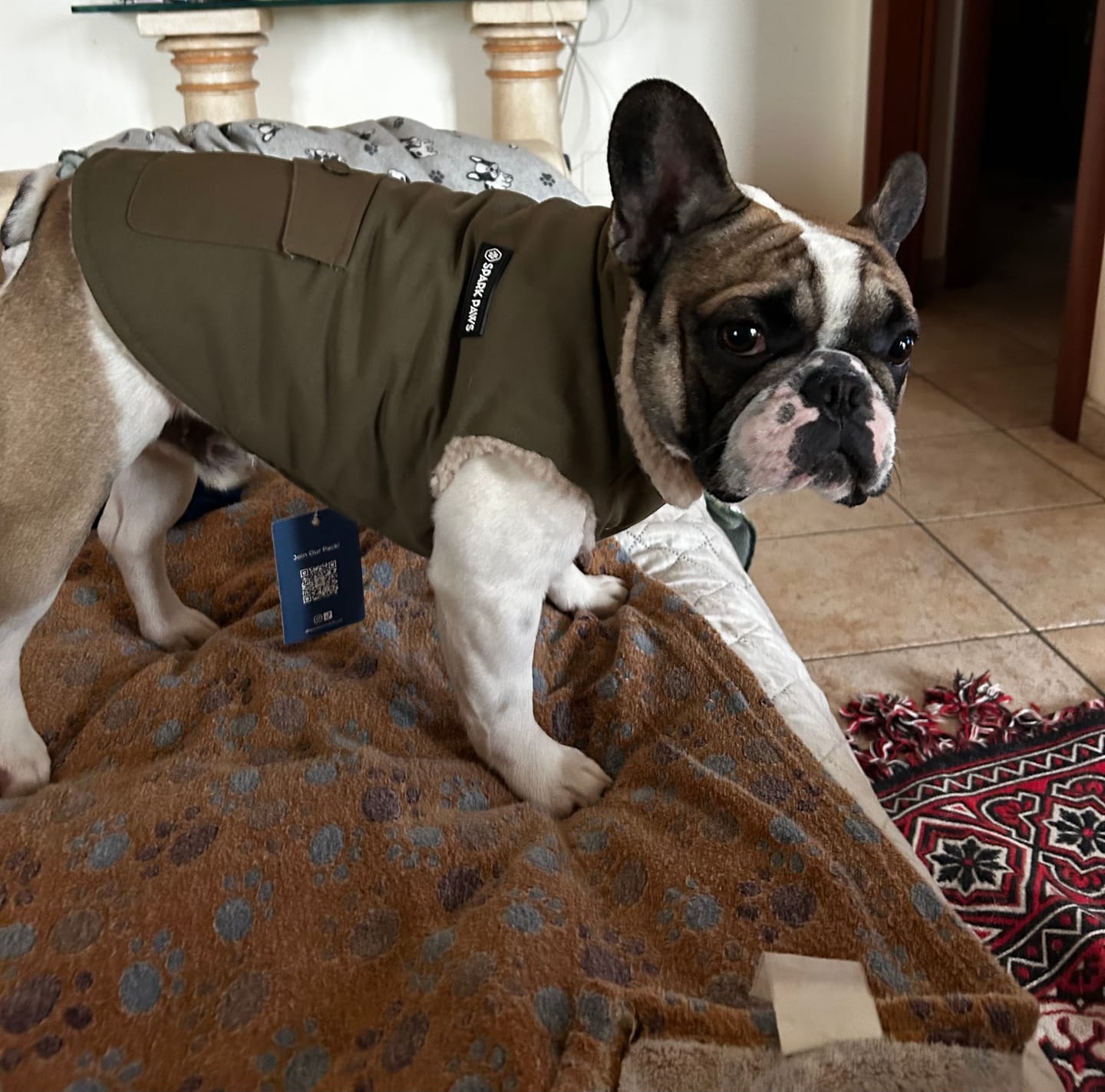 Customer photo review of Workdog Insulated Utility Jacket - Green