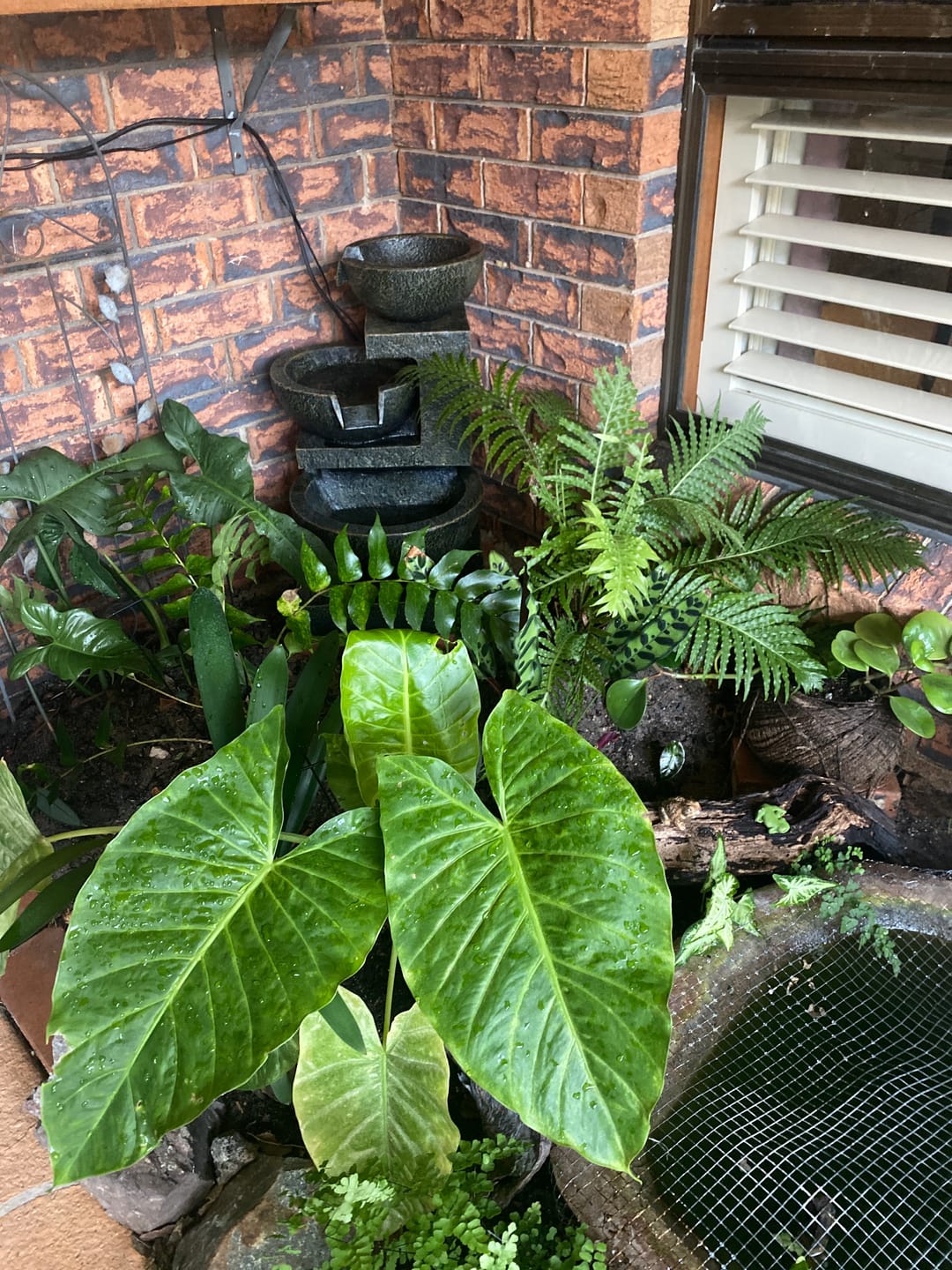 Customer photo review of Carmen 3-Tier Garden Water Feature - Best Seller