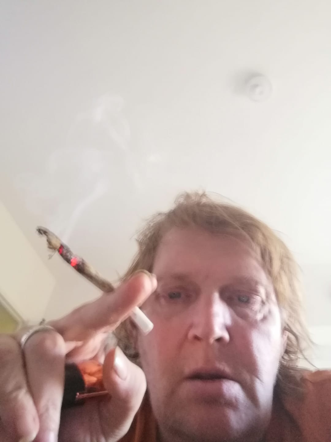 Customer photo review of 🏜️ Nomad’s Dream Hasch - Power LVL: 5/5