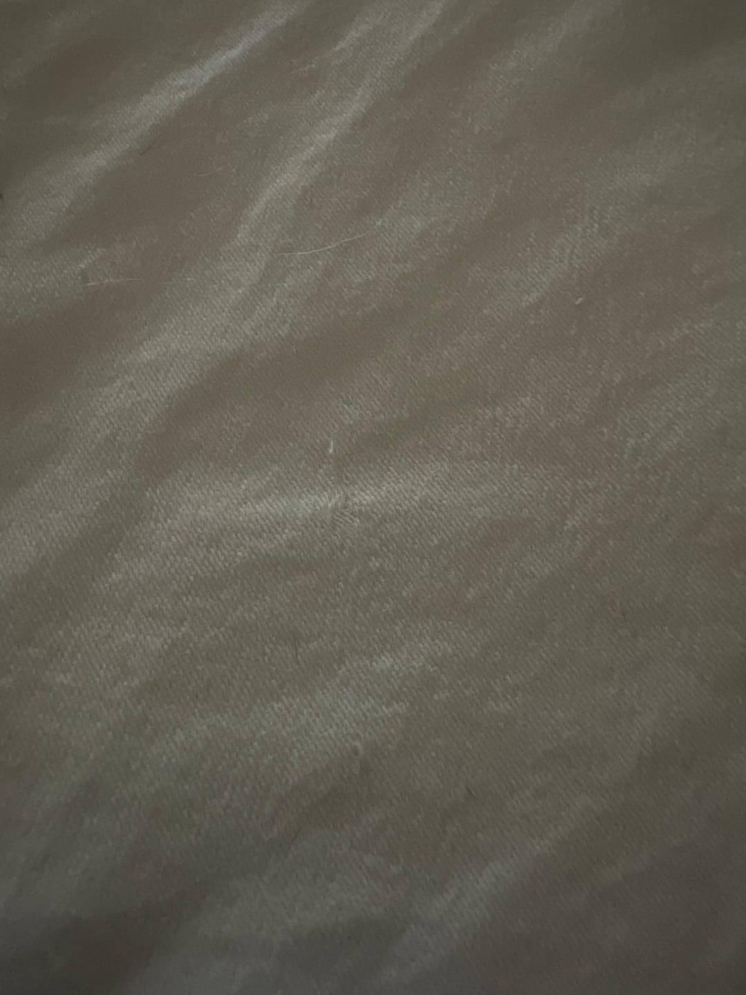 Customer photo review of Franco Chain (Silver)