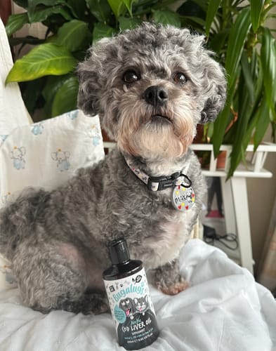 Customer photo review of Arctic Cod Liver Oil for Dogs & Cats (250ml)