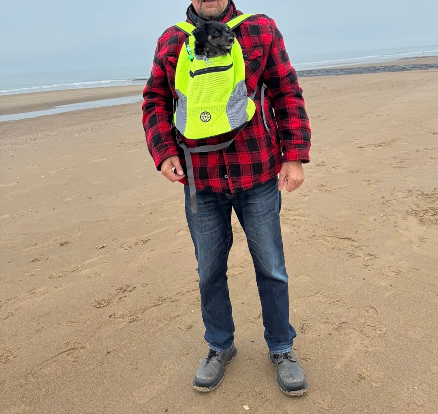 Customer photo review of Emmalove - Hunde-Rucksack