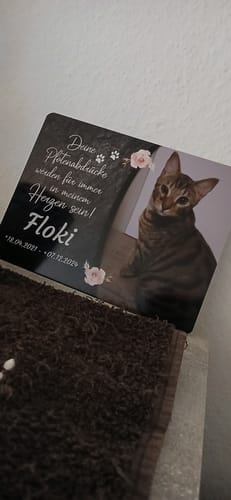 Customer photo review of Katzen Gedenktafel mit Foto & Spruch (UV- & Wetterfest)