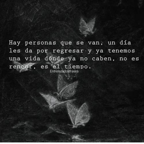 Customer photo review of Recovery Conditioner