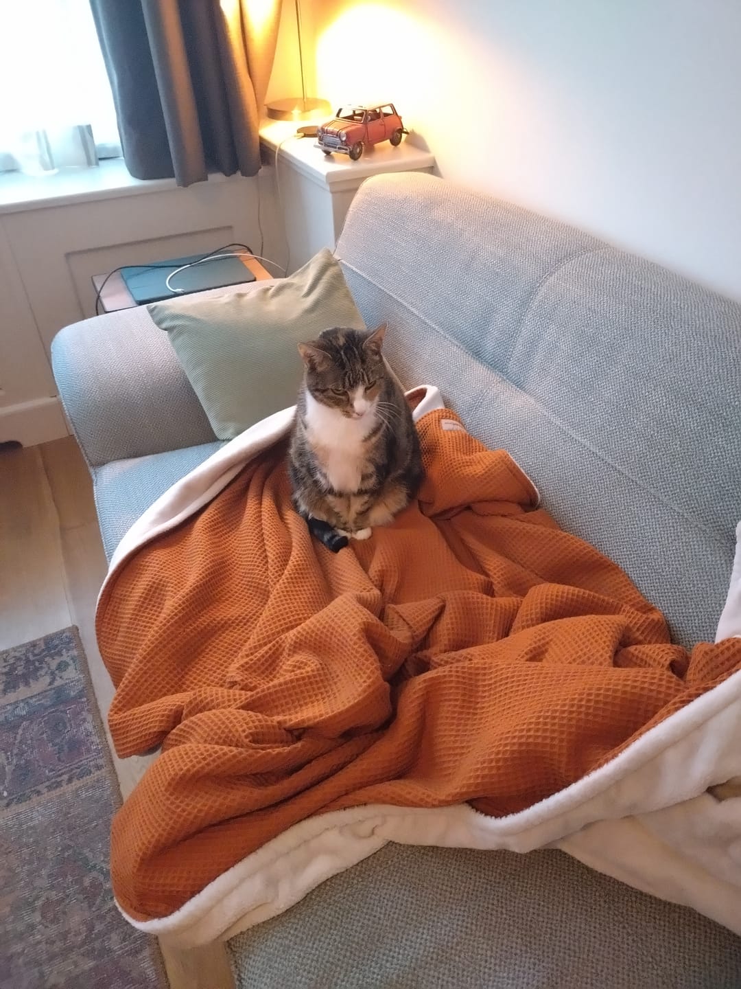 Customer photo review of Kuscheldecke • Vollkommen •  210 x 145 cm • "Limited Edition" • Cognac • Beige