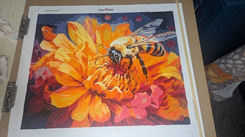 Customer photo review of Bee's Dance