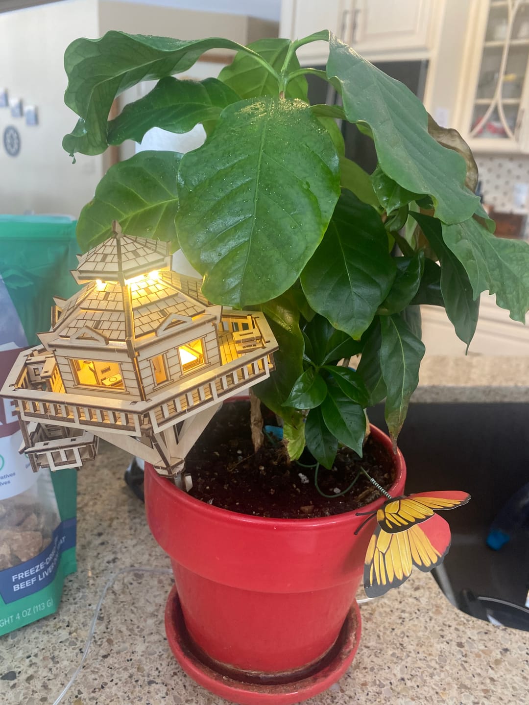 Customer photo review of Woodland Outpost
