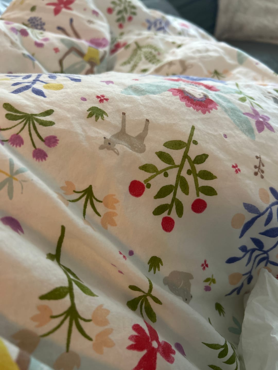 Customer photo review of CloudTopper™ Mattress Topper