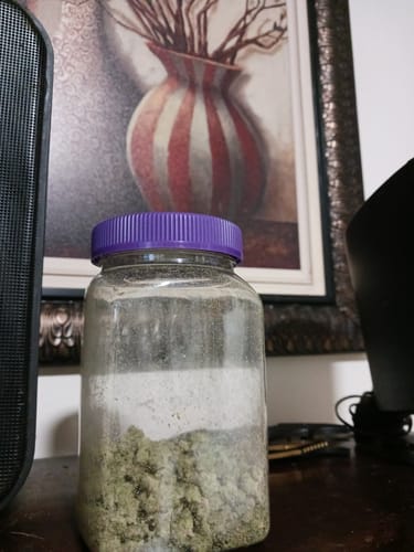 Customer photo review of Alien OG - 14 Grams Littles - Indica