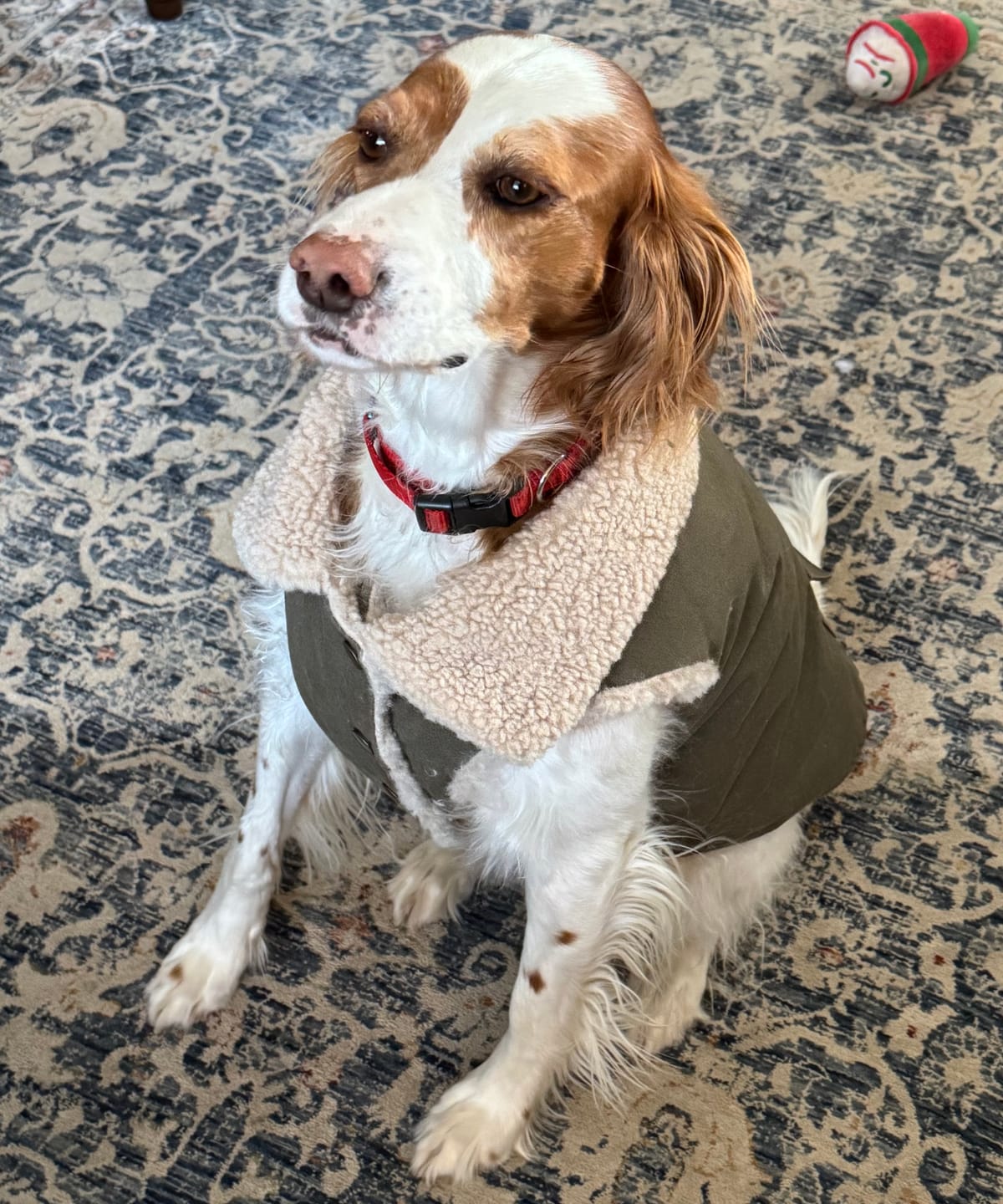 Customer photo review of Workdog Insulated Utility Jacket - Green