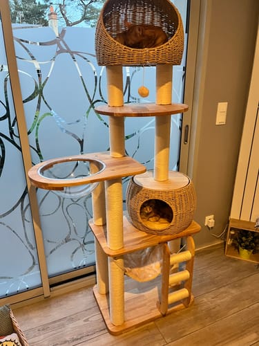 Customer photo review of Arbre à Chat - Jardin Whisker