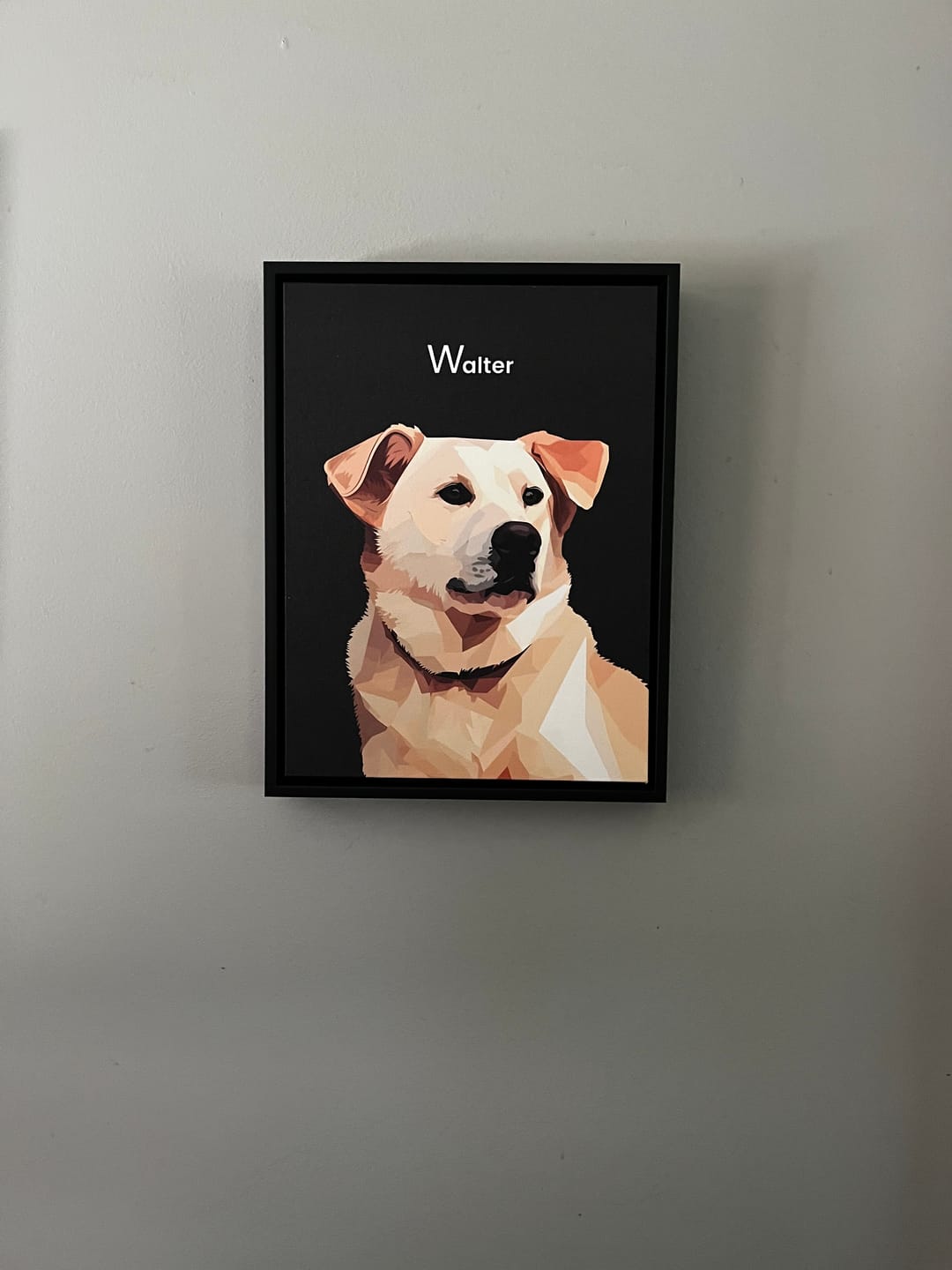 Customer photo review of Modern 1 Pet Portrait