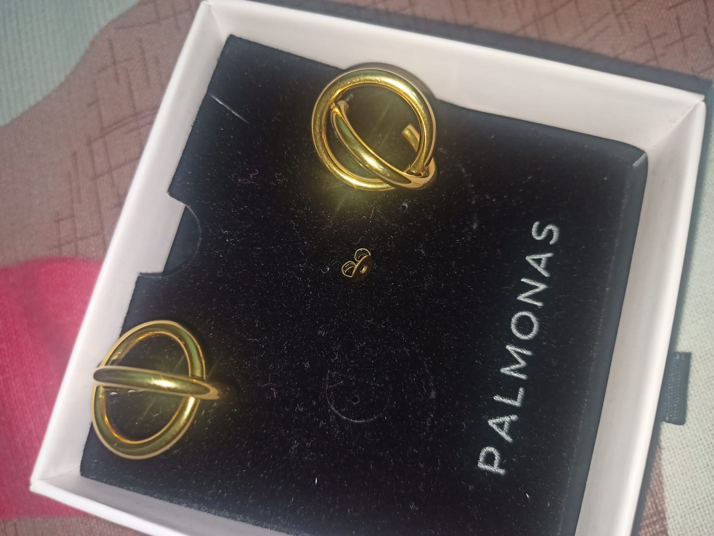 Customer photo review of Double Circle Hoop Earrings