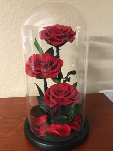 Customer photo review of Preserved Natural Rose In Glass