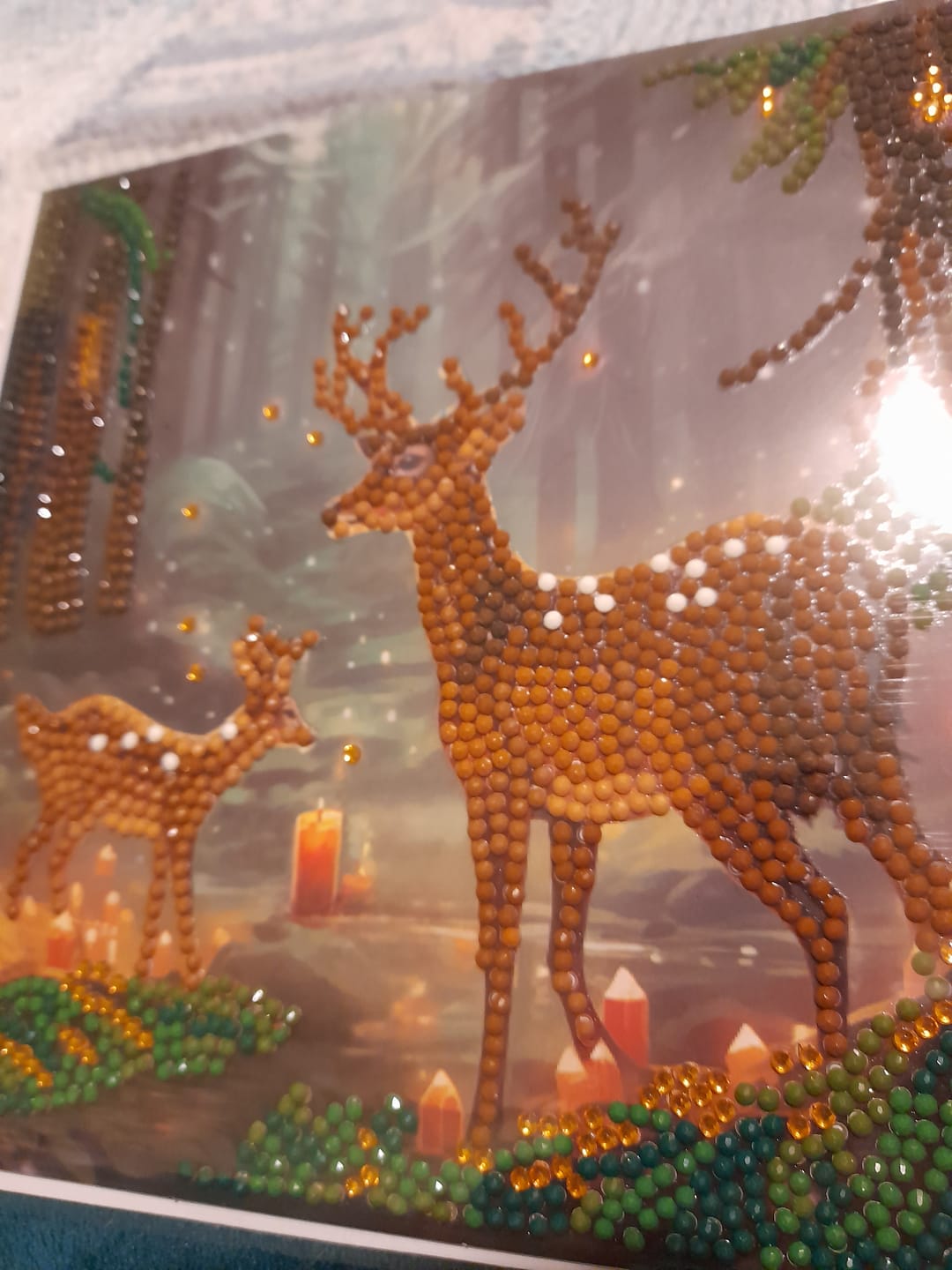 Customer photo review of "Enchanted Forest" Crystal Art Card 18x18cm