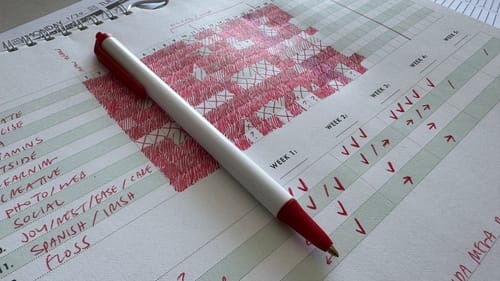 Customer photo review of Habit Tracker Calendar