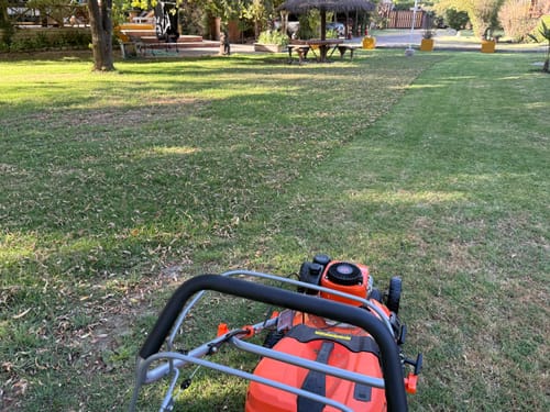 Customer photo review of PRE VENTA - Corta Cesped 5.5HP Autopropulsada a Motor y bolsa colectora de 70 litros Modelo CSvB170a van Beek