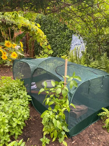 Customer photo review of PUC2000