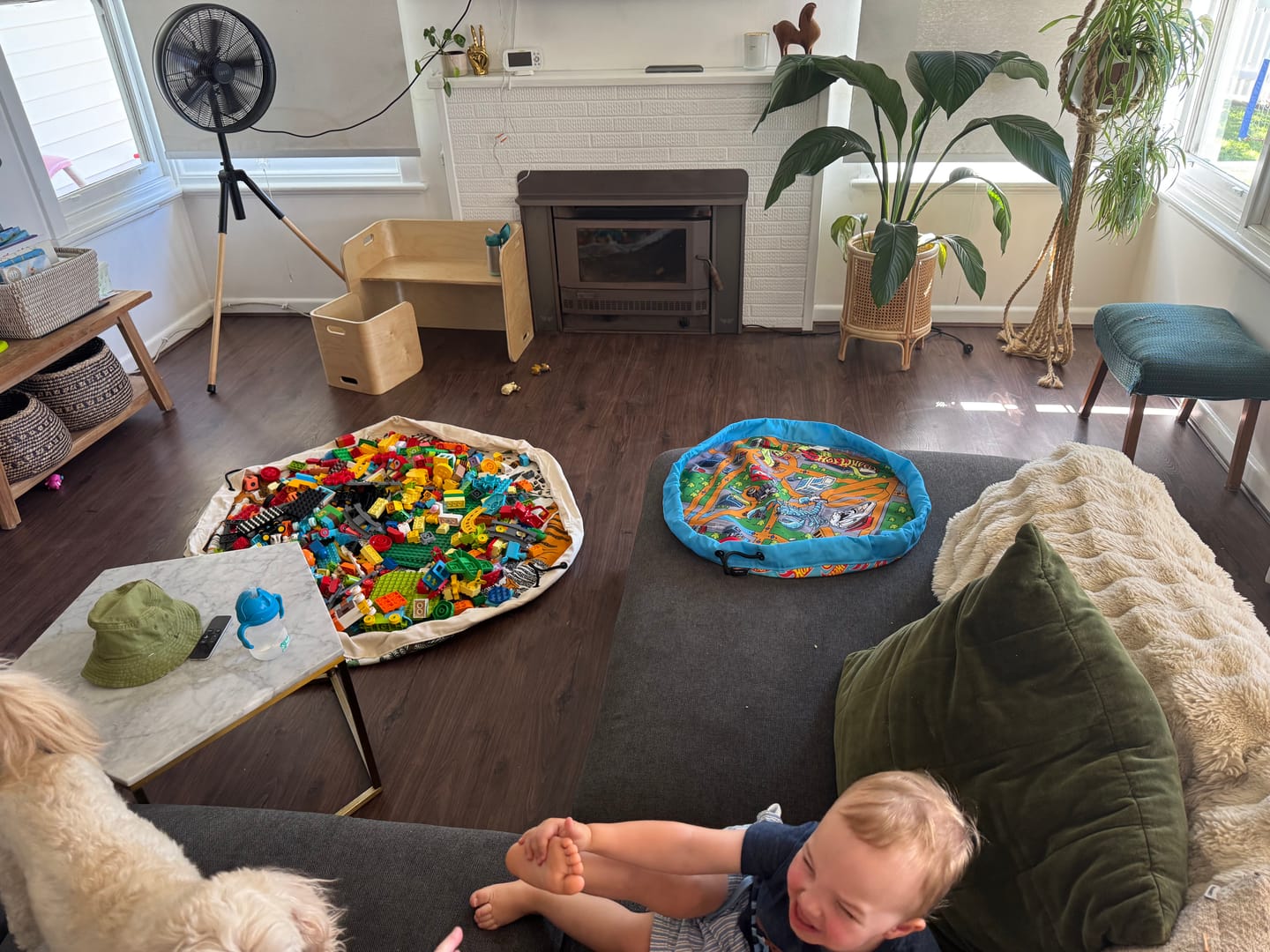Customer photo review of Dino Island Play Pouch