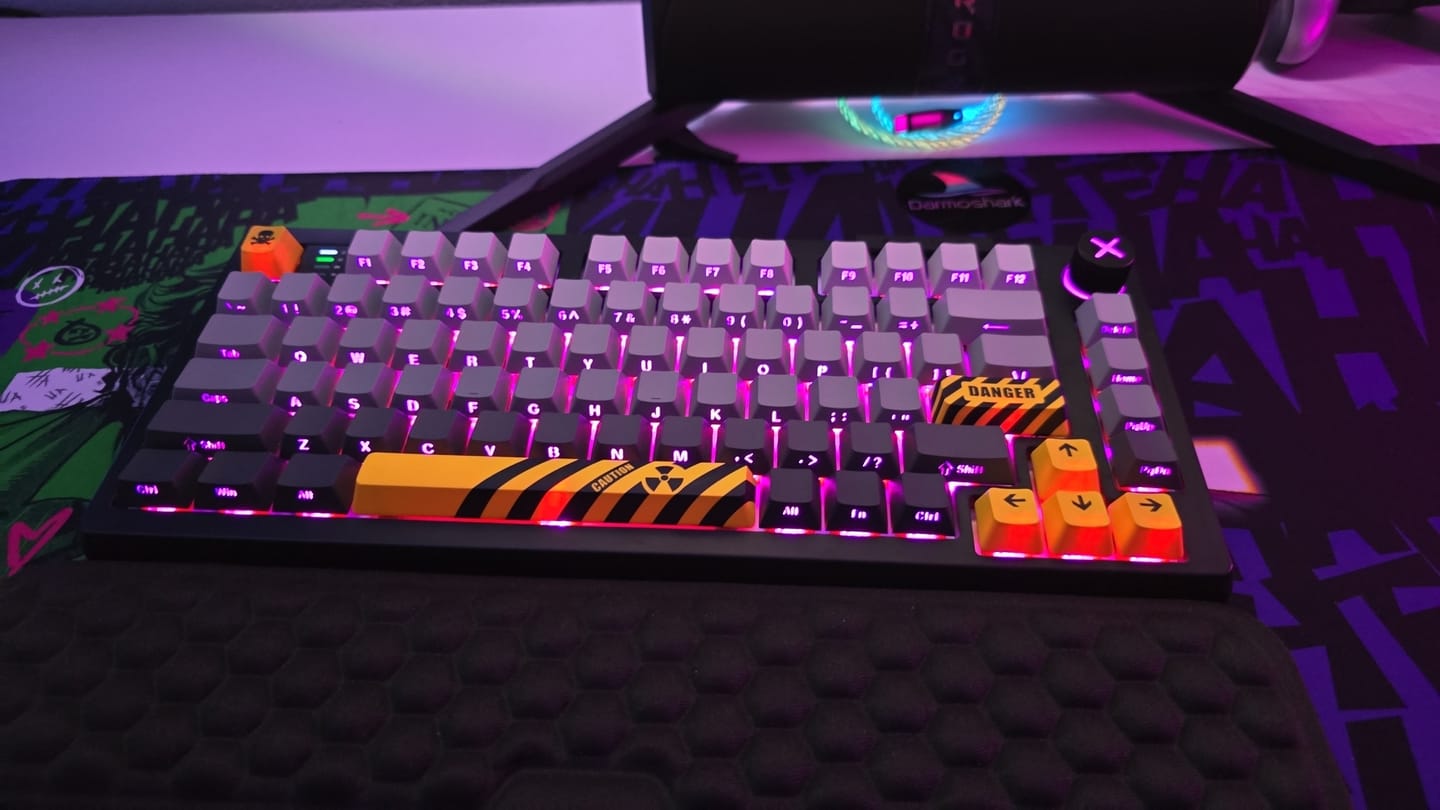 Customer photo review of Darmoshark Top75 HE Wireless Klavye (Manyetik Switch / HE)