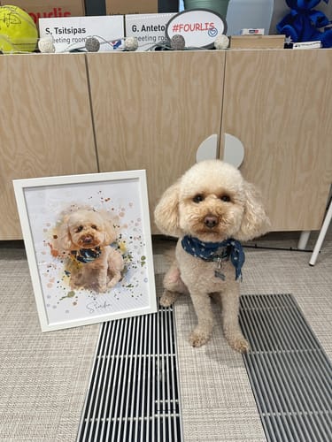 Customer photo review of Πορτραίτο Κατοικίδιου - Ακουαρέλα