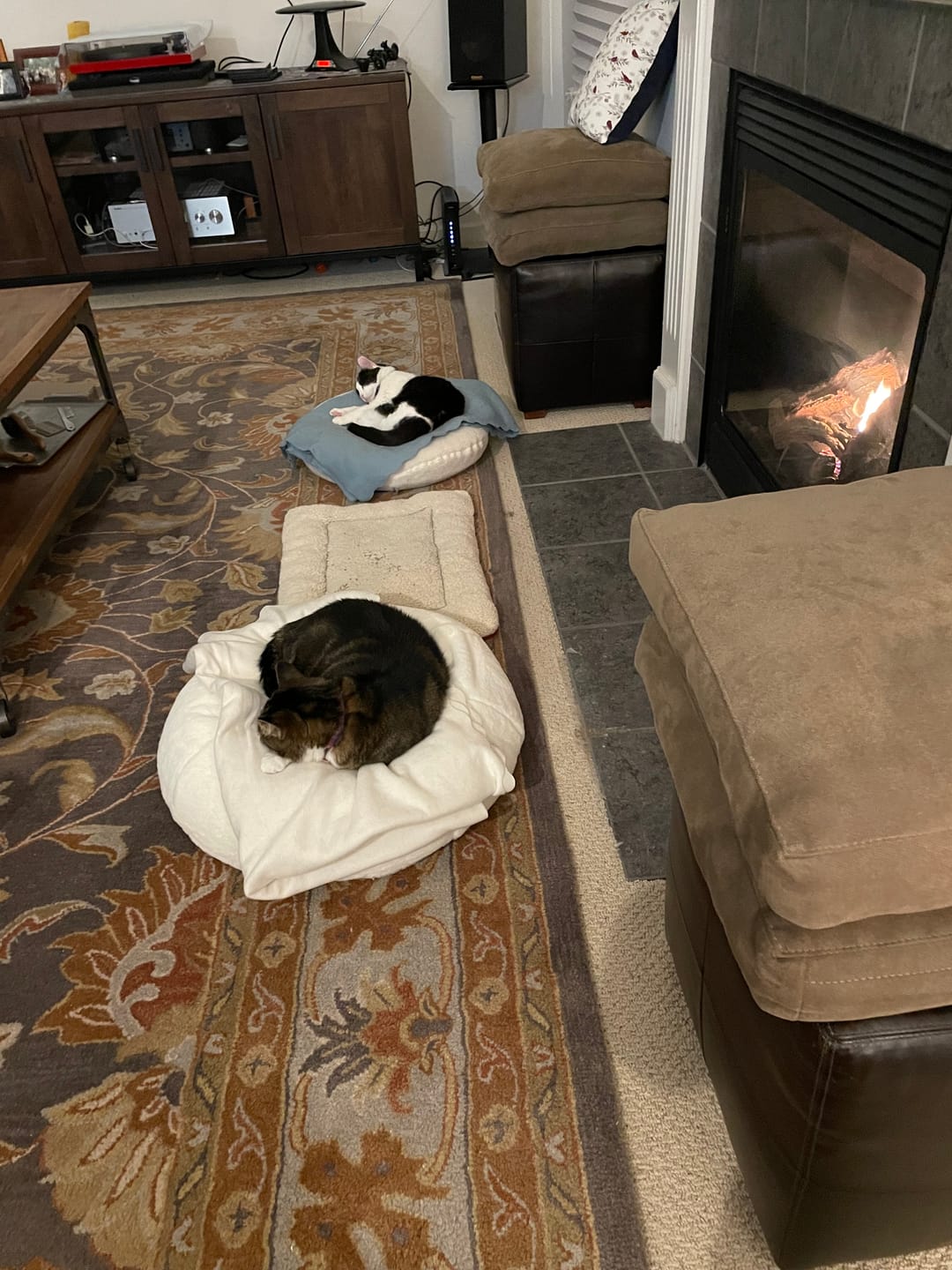Customer photo review of Sourdough Pudding Bed