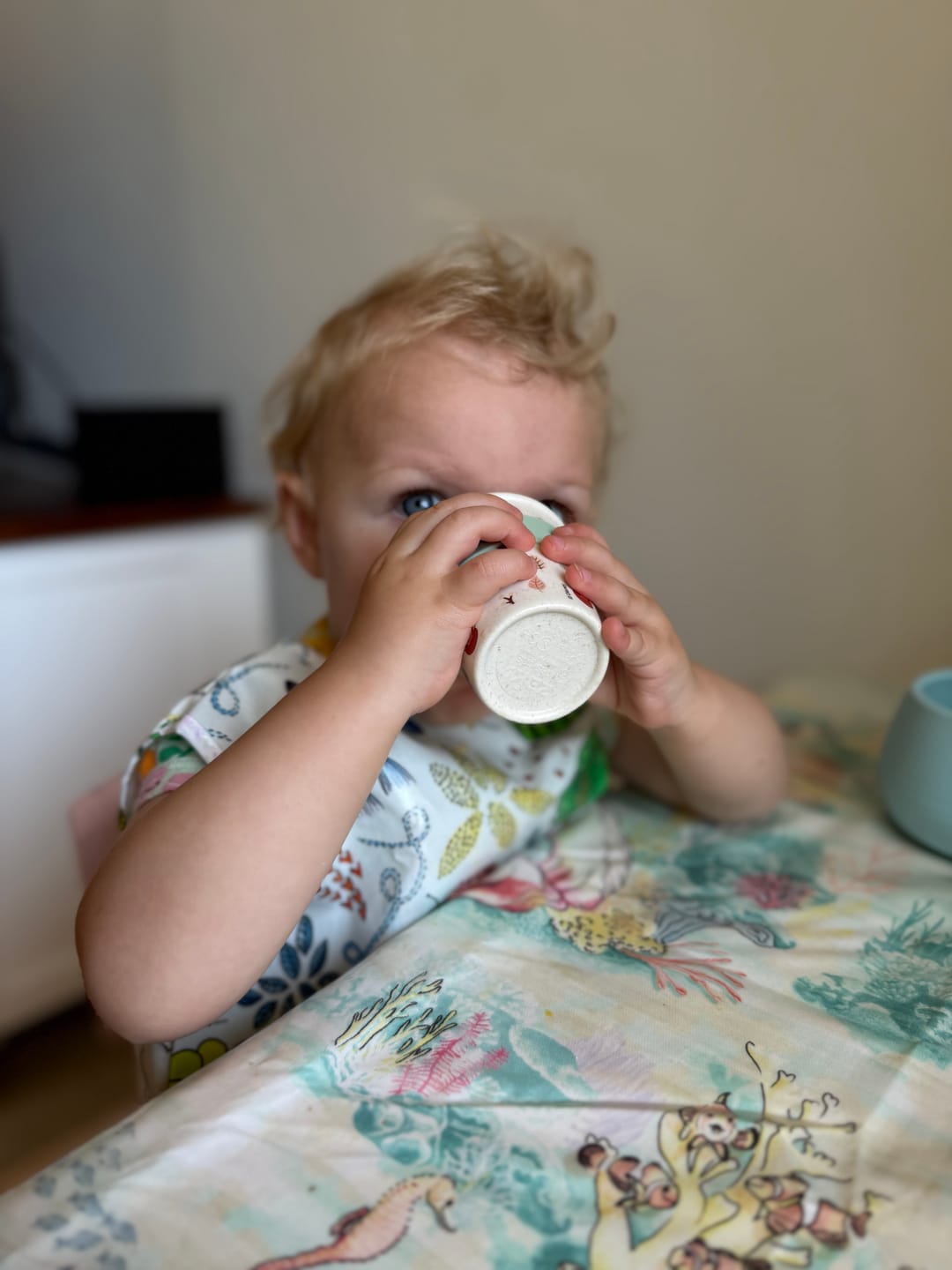 Customer photo review of Lady Elliot Island Toddler Table Cloth