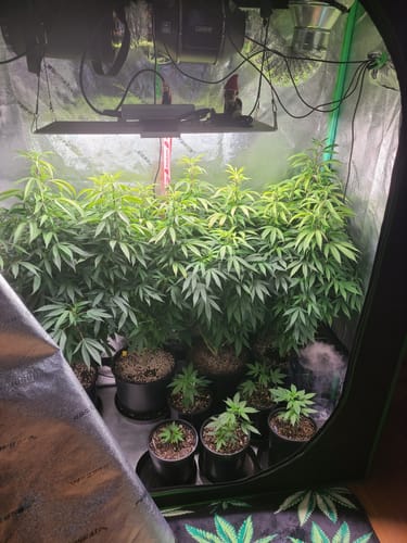 Customer photo review of AC Infinity Grow Room Humidifier, CloudForge T3, 4.5L