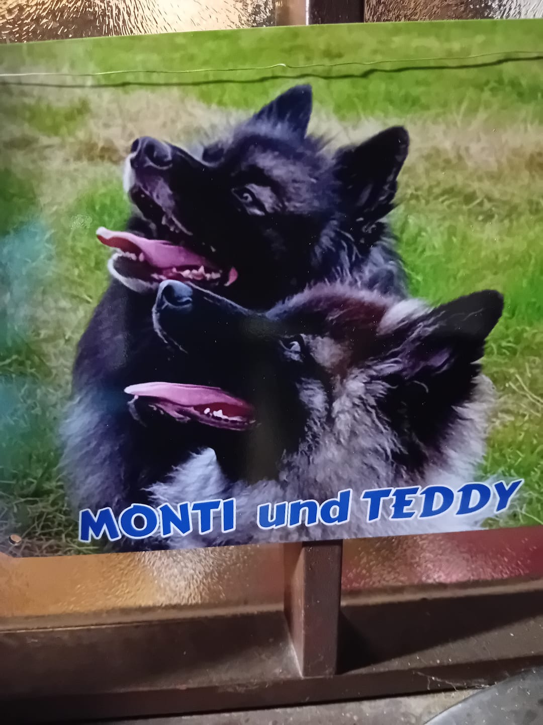 Customer photo review of Hunde-Türschild personalisiert mit Foto & Text (UV- und wetterfest)