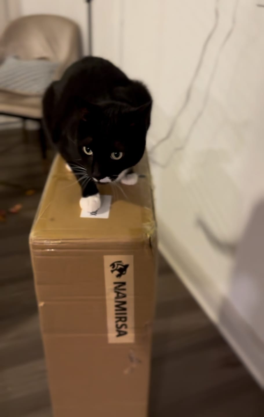 Customer photo review of Namirsa Vibration Plate