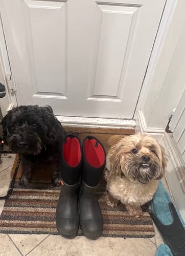 Customer photo review of Snugboot Pioneer Boot