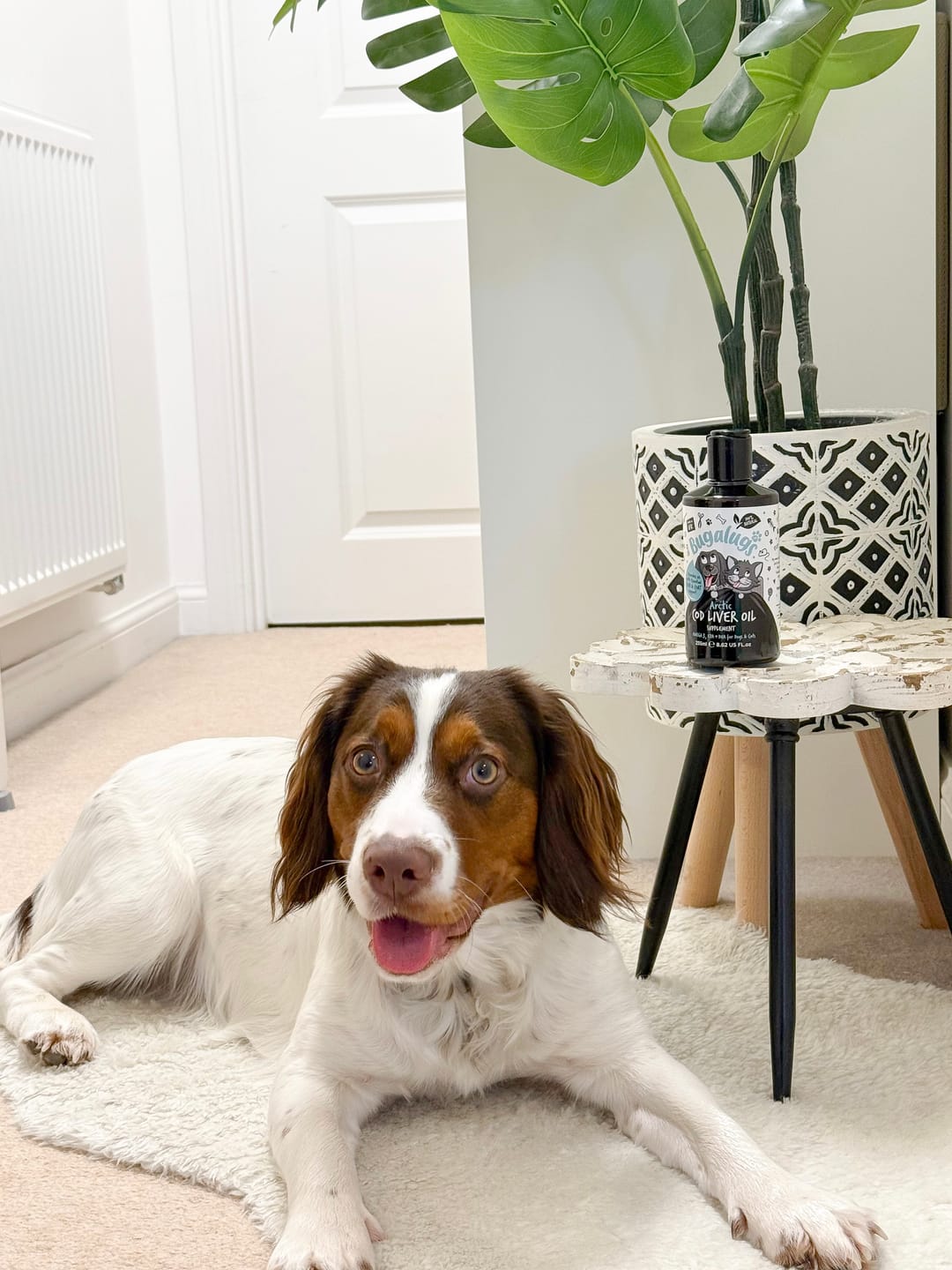 Customer photo review of Arctic Cod Liver Oil for Dogs & Cats (255ml)
